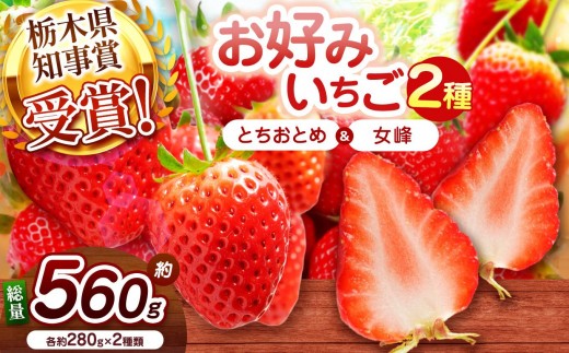 【2027年先行予約】元祖とちおとめ×伝統の女峰 食べ比べセット 560g