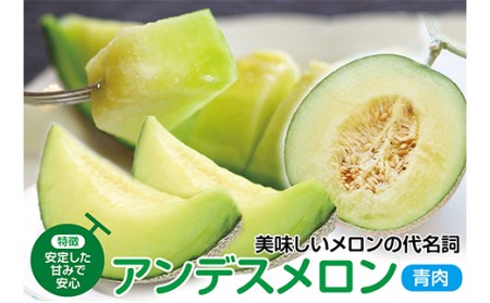 【先行予約 2024年7月発送】庄内砂丘メロン 大玉アンデスメロン（青肉）2玉 4.5kg以上 つる付 化粧箱入 FSY-0337