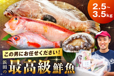 どんちっち浜田【輝き】鮮魚～最高級この男シリーズ～ 海鮮 鮮魚 詰め合わせ セット 【2015】