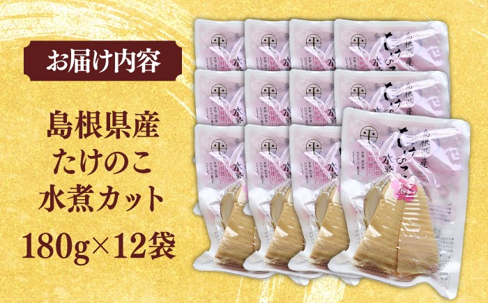 たけのこ 筍 春 炊き込み ご飯 水煮 旬 てんぷら