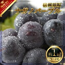 【ふるさと納税】ナガノパープル 約1kg（約1～2房）《信州グルメ市場》■2025年発送■※8月下旬頃～9月下旬頃まで順次発送予定 果物 フルーツ ぶどう ブドウ 葡萄 先行予約 期間限定 数量限定