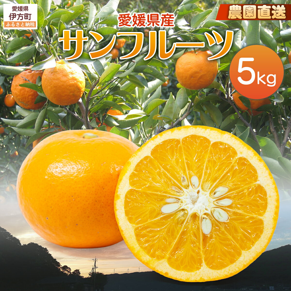 【ふるさと納税】【栽培期間中農薬不使用】【先行受付】【数量限定】農園直送！愛媛県産サンフルーツ 5kg （2026年4月上旬頃より順次発送） 【ふるさと納税 人気 おすすめ みかん サンフルーツ フルーツ ギフト 木野本農園 愛媛県 伊方町 送料無料】 IKTG011