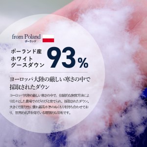 羽毛ふとん 活躍5点セット ダブル【オールシーズン対応】 羽毛布団 寝具 2枚合わせ ダブル布団 掛ふとんカバー ピロケース 