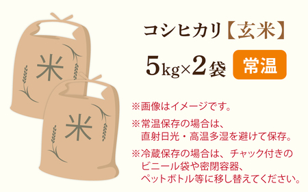 【先行予約】永平寺町飯島産　コシヒカリ  【玄米】10kg 【2025年10月中旬以降順次発送開始予定】/ふるさと納税 米 10kg 福井県 永平寺町 の おいしい お米 発祥の地 こめ おこめ 白米