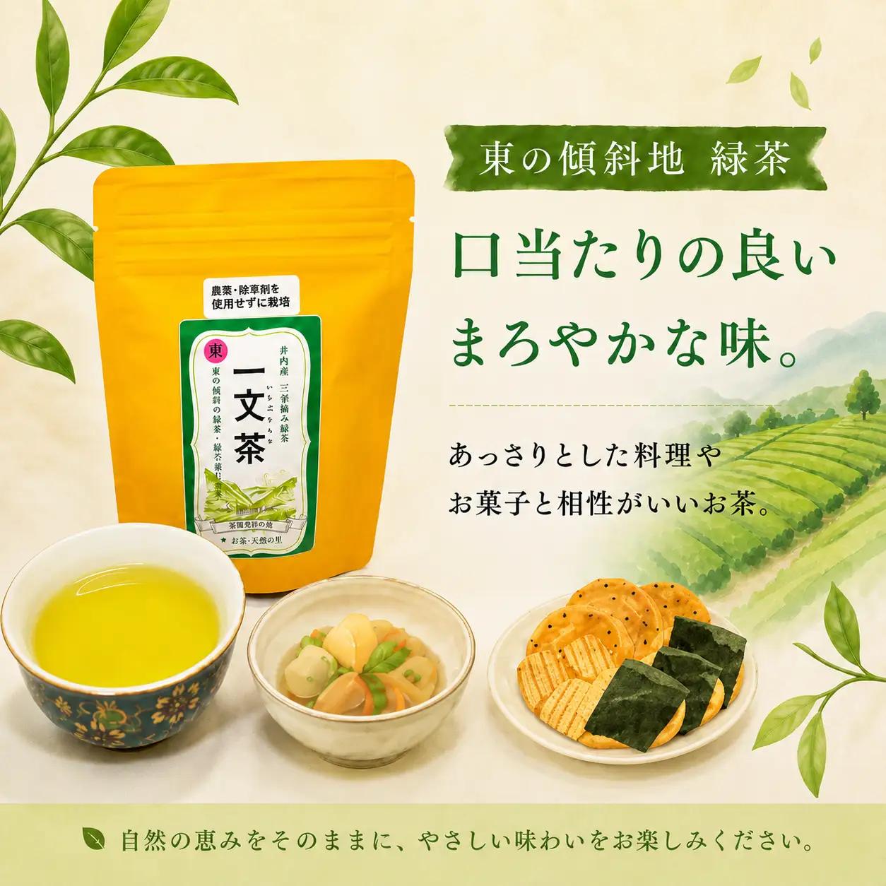 〈 新茶 〉 緑茶 東の傾斜地 40g × 3袋 茶葉 【 一文茶 】