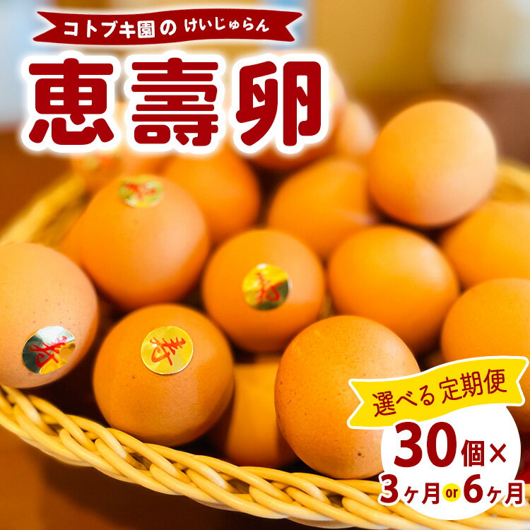 【ふるさと納税】【定期便】当社自慢の卵 恵壽卵 30個入り | 卵 たまご タマゴ けいじゅらん 鶏卵 玉子 国産 定期便 先行予約 先行受付　※離島への配送不可　※2025年2月上旬～2025年10月下旬頃に順次発送予定