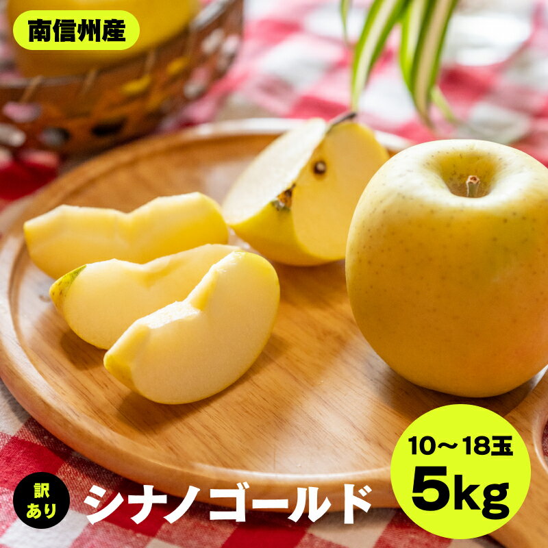 【ふるさと納税】 南信州産 シナノゴールド 訳あり 約5kg 10～18玉 JAみなみ信州DMセンター飯田市 | 林檎 りんご リンゴ シナノゴールド ジューシー 果汁 果物 フルーツ 南信州 送料無料 ふるさと納税 長野県 飯田市 K15