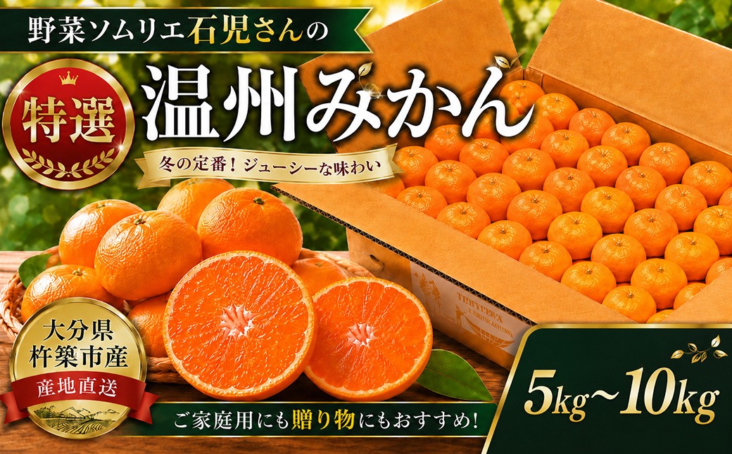 野菜ソムリエ石児さんの「特選 温州みかん 約5kg」