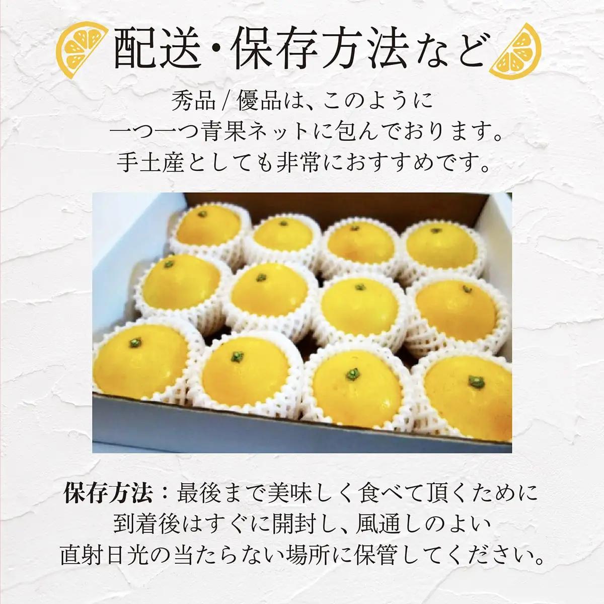 【秀品】　西内小夏　5kg　N57 [NU-08] 【西内農園】