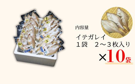 【24021】田後漁港特産　イテガレイ干物１０個セット