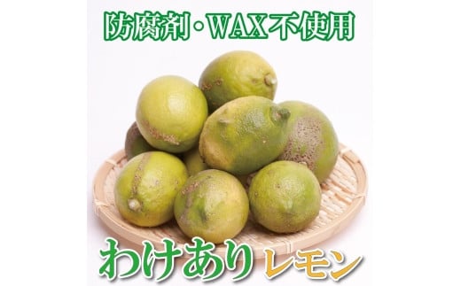 家庭用 レモン1kg+250g（傷み補償分）【和歌山有田産】【防腐剤・WAX不使用、安心の国産レモン】【わけあり・訳ありレモン】［IKE125］