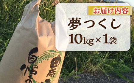 【先行予約】津田くん農園の夢つくし 10㎏【2024年10月以降順次発送】《豊前市》【株式会社くしだ企画】米 白米 お米 ご飯[VDG002]