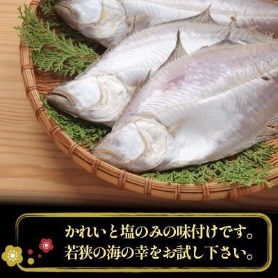 ふるさと納税 若狭町 かれい一夜干し 1Kg(5〜8尾) |  | 02