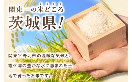 米 農家の美味しいお米 精米 5kg 令和8年産 茨城県産 阿見町産 お米 こめ コメ ごはん 白米 茨城県産米 単一米 単一原料米 安心 安全 送料無料 国産 人気 数量限定 （85-R8a073_