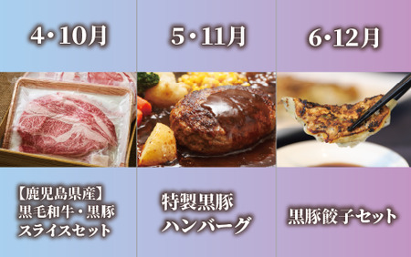 【全６回定期便】鹿児島県産牛・豚バラエティ定期便(Z120-1728) 牛 牛肉 肉 豚 豚肉 黒豚 茶美豚 サーロイン ステーキ 黒毛和牛 豚スライス 豚スラ カタロース ウデスライス ハンバーグ 