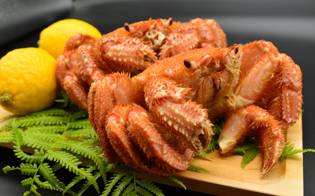 流氷海明け・活〆茹で毛蟹2尾で約800g冷蔵便届け ABAO111