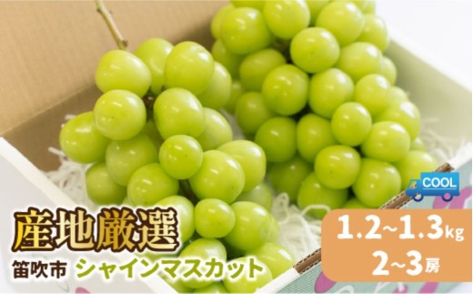 【2027年発送★先行予約】 【順次発送】産地厳選シャインマスカット1.2㎏以上（2房から3房） 106-003-sku03-27y ｜シャインマスカット 発送  笛吹市 山梨県 フルーツ 果物 ぶどう 葡萄 大粒 シャインマスカット おすすめ シャインマスカット 贈答 ギフト 産地 笛吹市 シャインマスカット 笛吹 葡萄 国産 ぶどう 人気 国産 1.2kg 先行｜