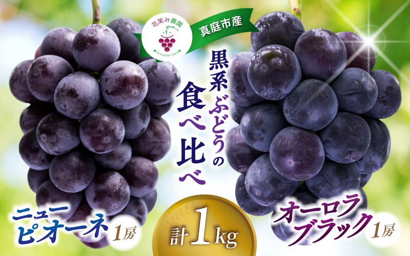 【2027年先行予約】 岡山 花笑み農園の『ニューピオーネ&オーロラブラック』1kg(2房) 2027年9月上旬～ 受付順に発送予【hana032-03】