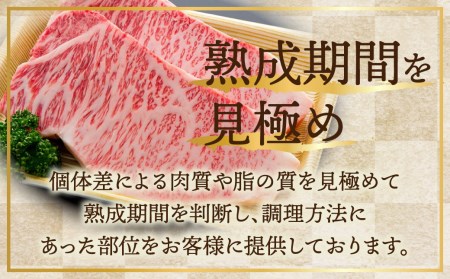 飛騨牛ロース焼肉 1kg(500g×2) 焼き肉 BBQ 国産牛 国産 牛肉 肉 厳選 熟成 贈答用 肉の沖村[Q1084]