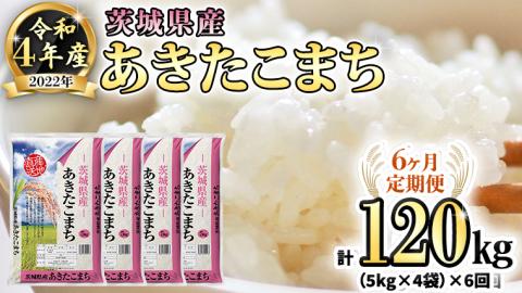 【6ヶ月定期便】 令和4年産米 茨城県産 あきたこまち (精米) 20kg ( 5kg ×4袋)×6回 計120kg お米 米 白米 精米 大容量 定期便 6回 6ヶ月 単一米 [AK023ya]