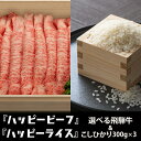 【ふるさと納税】米 （300g×3） と 飛騨牛 (300-500g) こしひかり コシヒカリ A4等級 A5等級 ブランド牛 内祝い のし 熨斗 ハッピープラス 飛騨高山 TR4102