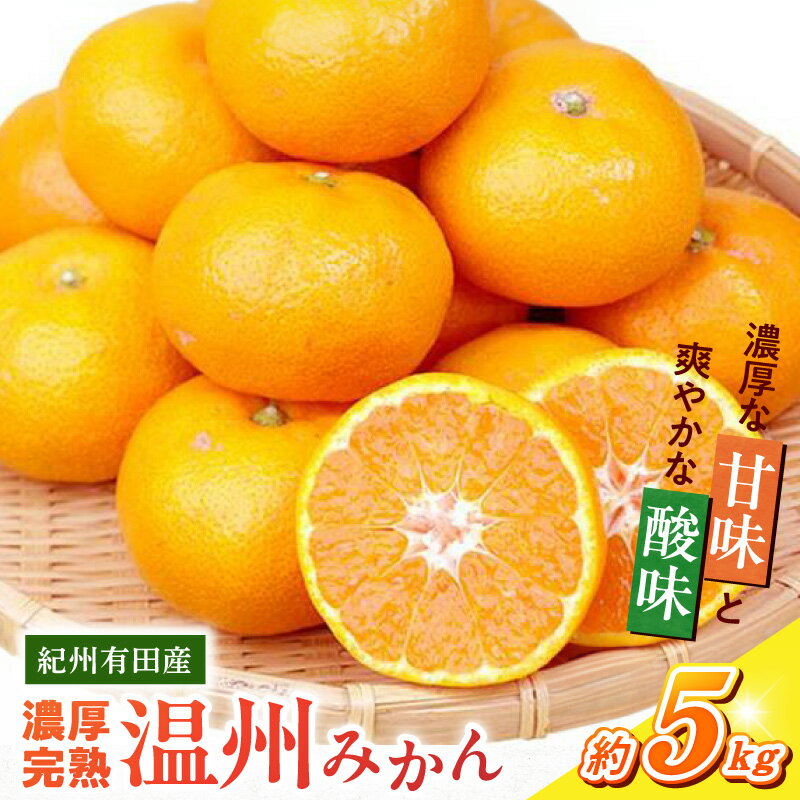 【ふるさと納税】【限定】【2026年11月下旬より発送】 紀州 有田産 濃厚甘熟 温州みかん 5kg【ミカン 蜜柑 柑橘 温州みかん 有田みかん 和歌山】