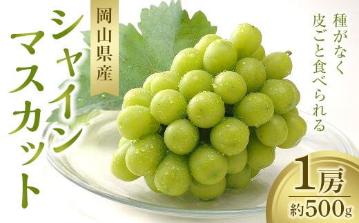 
                  シャインマスカット 1房 約500g【数量限定300セット】【シャインマスカット シャイン マスカット 葡萄 ぶどう フルーツ 果物 数量限定 岡山県 おすすめ 人気 新鮮】
                