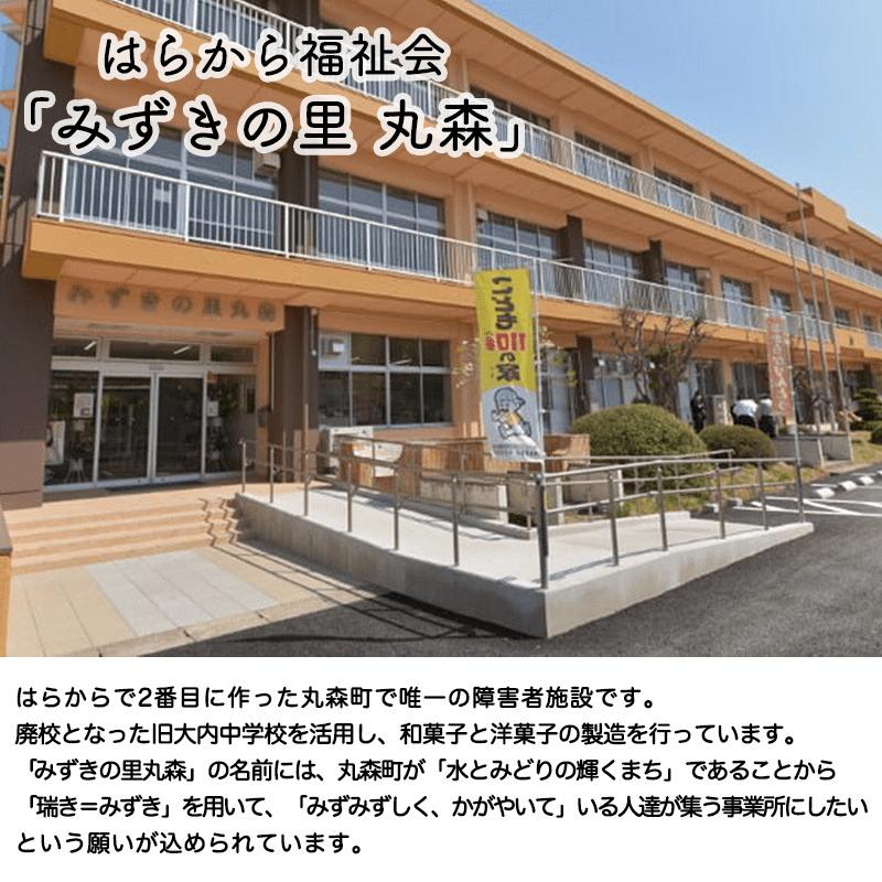 【定期便｜１２カ月連続】プロテインバー ストロベリー味（2本入り×12袋）×12カ月【18125】