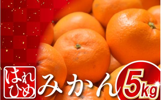 みかん 5kg はれひめ 蜜柑 柑橘 フルーツ 果物 オレンジジュース デザート ケーキ アイス 冷凍みかん シャーベット ゼリー スイーツ お菓子 ギフト 送料無料 徳島県 三好市 みよし 篠原農園