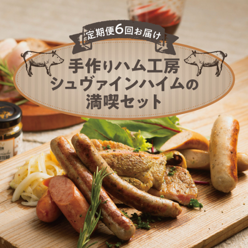 【定期便6回お届け】手作りハム工房シュヴァインハイムの満喫セット H003-039