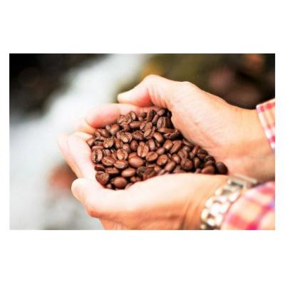 ふるさと納税 江府町 スペシャルブレンド ブナの森 豆 お試し70g×2 コーヒー 奥大山の水洗い珈琲 |  | 01