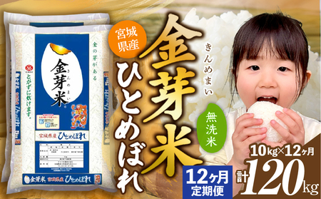 【定期便12回】令和7年宮城県産金芽米 ひとめぼれ 10㎏×12回