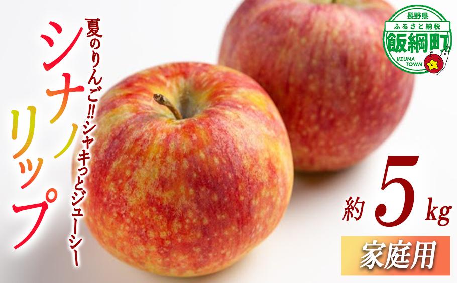 
                  りんご シナノリップ 家庭用 5kg 信州いいづな 相澤農園株式会社 2026年8月中旬頃から2026年9月上旬頃まで順次発送予定 令和8年度収穫分 長野県 飯綱町 [1846]
                
