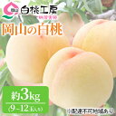 桃茂実苑 岡山 白桃 3kg（9〜12玉）