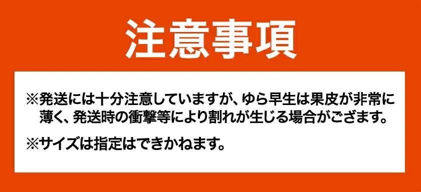 ゆら早生 みかん「ゆらっ子」 約5kg JA紀州産直店 さわやか日高（日高川町）みかん
