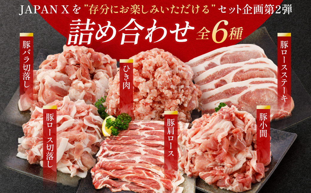 JAPAN X バラエティセット 第2弾 6種 2.5kg　豚肉 豚 ブランド豚 小分け バラエティセット 豚こま 豚バラ 豚ロース ひき肉 ジャパンエックス 蔵王 人気　【04301-0888】