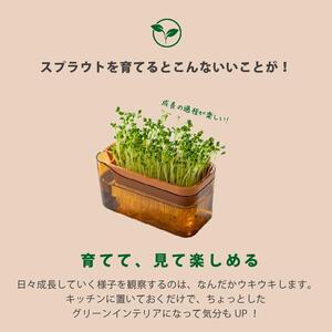【ブラウン】ベジマジそだてる スプラウト栽培容器 種付き 水耕栽培 おしゃれ 家庭菜園