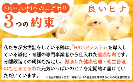 【12回定期便】新鮮 卵 120個（100個+卵割れ保証20個）(10個×12パック)京都丹波『霧の卵』三和鶏園 ≪たまご タマゴ 玉子 生卵 鶏卵 小分け 贈答 ギフト ふるさと納税 卵 直送 冷蔵