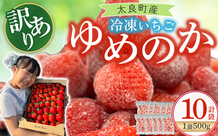 訳あり！太良町産「ゆめのか」冷凍いちご500ｇ×10袋 佐賀県 太良町 PB14