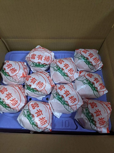 
            贈答用富有柿 3Lサイズ10個 約3.3kg 発祥の地岐阜県瑞穂市産
          