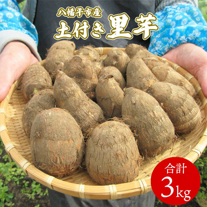 【ふるさと納税】【2026年10月上旬発送開始予定】 岩手県産 土付き 里芋 約3kg ／ さといも サトイモ 土付 秋 野菜 旬 新鮮 期間限定 季節限定 根菜類 根菜 季節野菜 季節物 芋煮 産地直送 国産 どだれ 土垂れ おすすめ 岩手県 八幡平市 送料無料 福祉事業所 ポパイの家