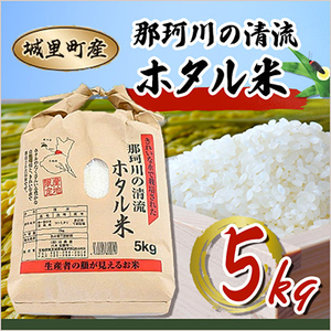 【令和6年産】城里町内・桂農産の【那珂川の清流ホタル米】　5kg【配送不可地域：離島】【1338669】