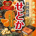 【ふるさと納税】2025年2月中旬発送開始　長岡農園の「せとか」約2kg 【C39-55】_ みかん ミカン 柑橘 せとか 果物 くだもの フルーツ 旬 愛媛 柑橘の大トロ 濃厚 甘み 国産 産直 産地直送 ギフト 贈答 プレゼント 化粧箱 【配送不可地域：離島】【1462367】