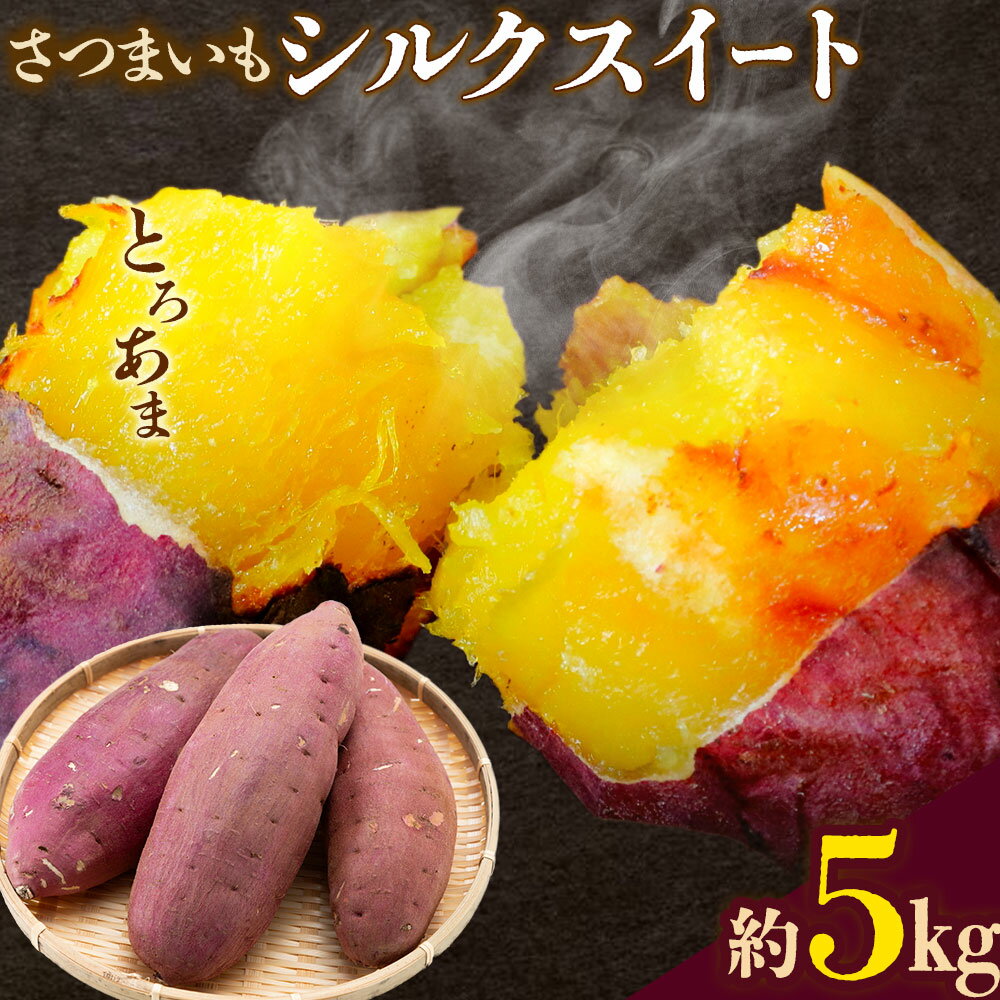 【ふるさと納税】【先行予約】シルクスイート さつまいも 約5kg 日本フルーツ株式会社《2026年11月上旬-12月中旬頃出荷》熊本県 菊池市 さつまいも サツマイモ シルクスイート 熊本県産
