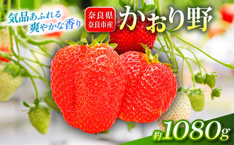 いちご かおり野 約1080g 1パック約270g 4パック 2027年発送 鶏冠果 サイズ混合 不揃い 数量限定 冷蔵 イチゴ 苺 itigo ichigo strawberry フルーツ 果物 旬 産地直送 小分け ブランドいちご 甘い おすすめ おいしい 贈答 プレゼント ギフト ふるさと納税いちご 芳醇ないちご 奈良県 奈良市 いちご農家だるま