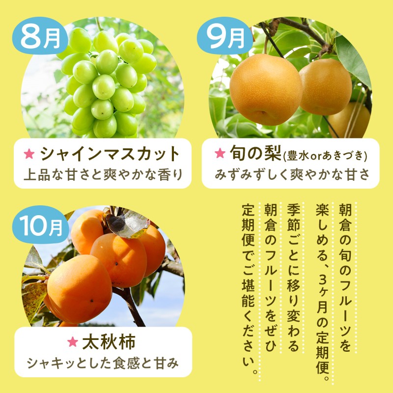 果物 3ヶ月 定期便 先行予約 2026年8月より順次発送 (シャイ