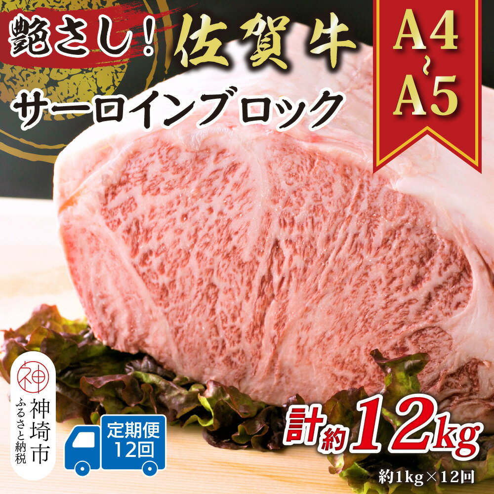 【ふるさと納税】【12か月定期便】艶さし！【A4〜A5】佐賀牛サーロインブロック 約1kg×12回【肉 牛肉 ブランド牛 黒毛和牛 ステーキ肉 ふるさと納税】(H112270)