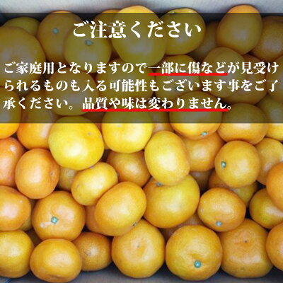 AT6255n_【2025年先行予約】 有田みかん 約10kg ご家庭用 和歌山 ゆら早生 極早生 (SS、Sサイズ)【湯浅町】