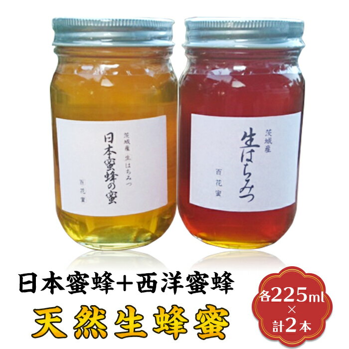 【ふるさと納税】【先行予約】はちみつ 国産 生はちみつ 生蜂蜜 生ハチミツ 天然生蜂蜜（日本蜜蜂と西洋蜜蜂）【2025年8月上旬から順次発送予定】