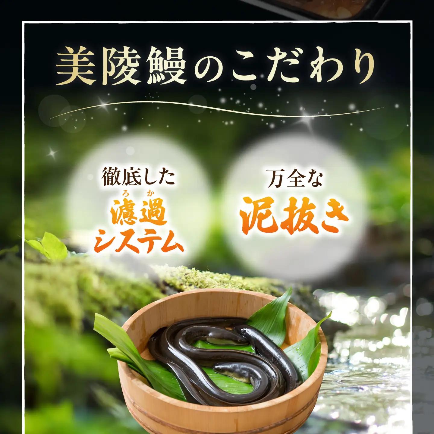 鰻 鰻の蒲焼 3尾 BLAM006